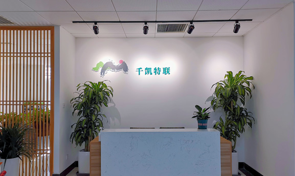 公司簡介