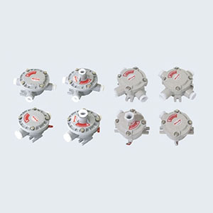 AH系列防爆接線盒(IIB、IIC、Ex tD)