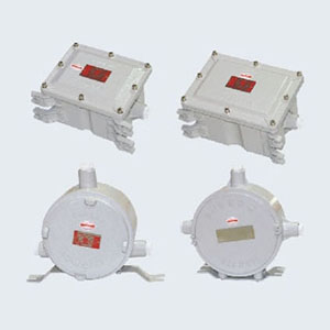 BdH系列防爆鎮(zhèn)流器(IIB、IIC)